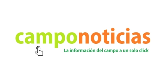 Campo Noticias