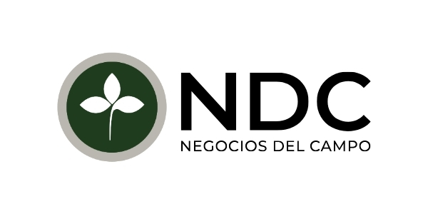 NDC